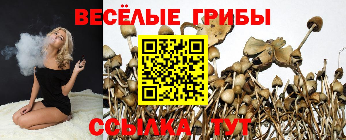 Белореченск  Псилоцибиновые грибы Psilocybe  Вход с VPN 